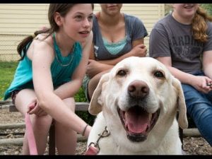 Meet Millie: Cowles’ Canine Counselor thumbnail