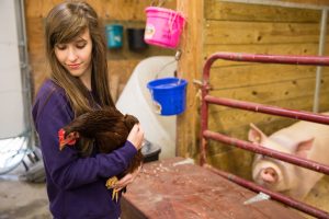 A girl holds a chicken.