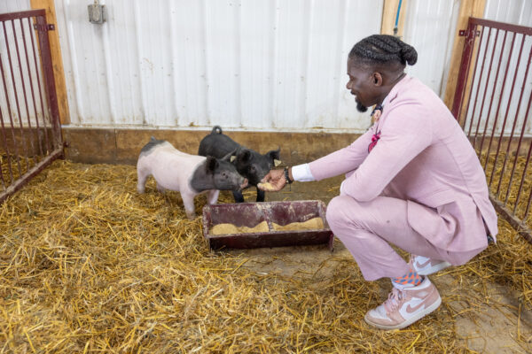 des moines public school superintendent feeding baby pigs