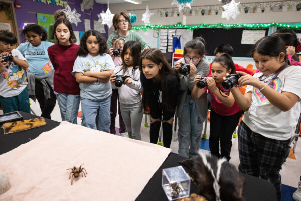 students photographing a spider